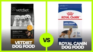 Read more about the article Vetdiet vs Royal Canin Dog Food: Honest Review In 2023