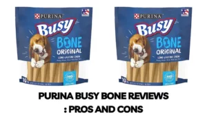 Read more about the article Purina Busy Bone Reviews In 2023: Is It good Choice for dogs?