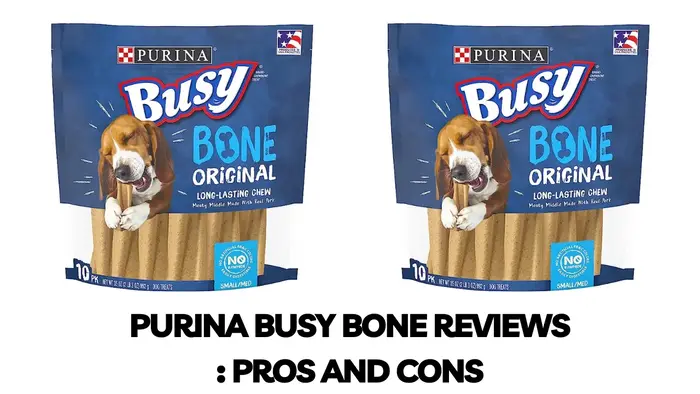 purina busy bone reviews