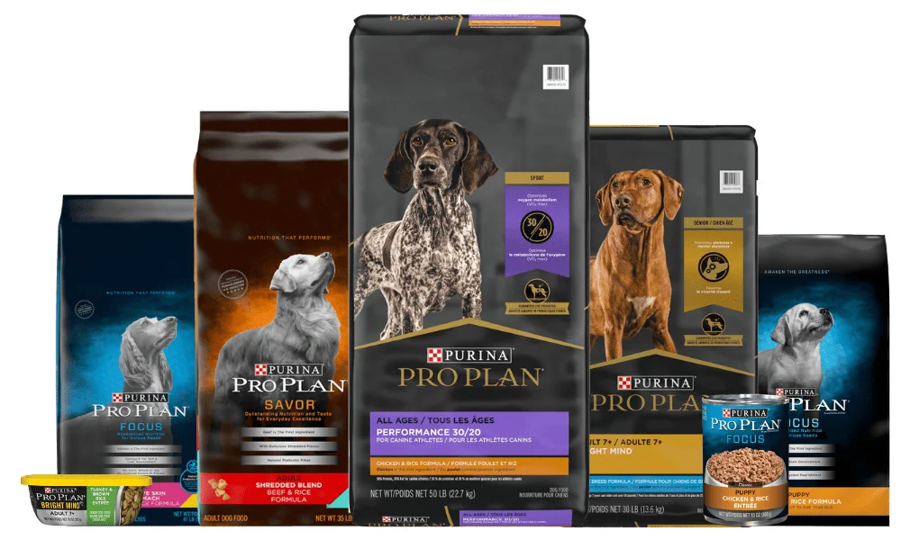 Honest Purina Pro Plan Reviews - Unbiased Insights into Pet Nutrition Excellence