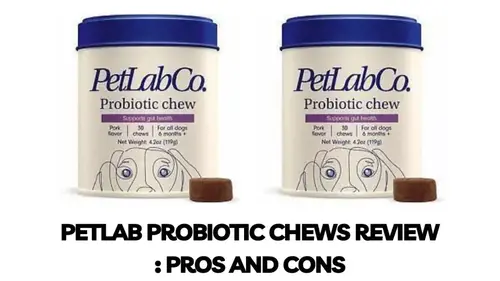 Read more about the article Petlab Probiotic Chews Review In 2023: Are They Worth the Hype