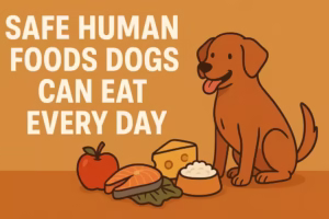 Safe Human Foods Dogs Can Eat Every Day