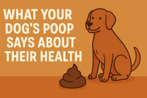 What Your Dog’s Poop Says About Their Health