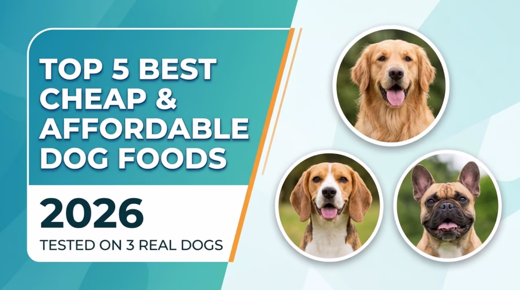 Top 5 Best Cheap & Affordable Dog Foods for All Types of Dogs (2026) — Tested on 3 Real Dogs