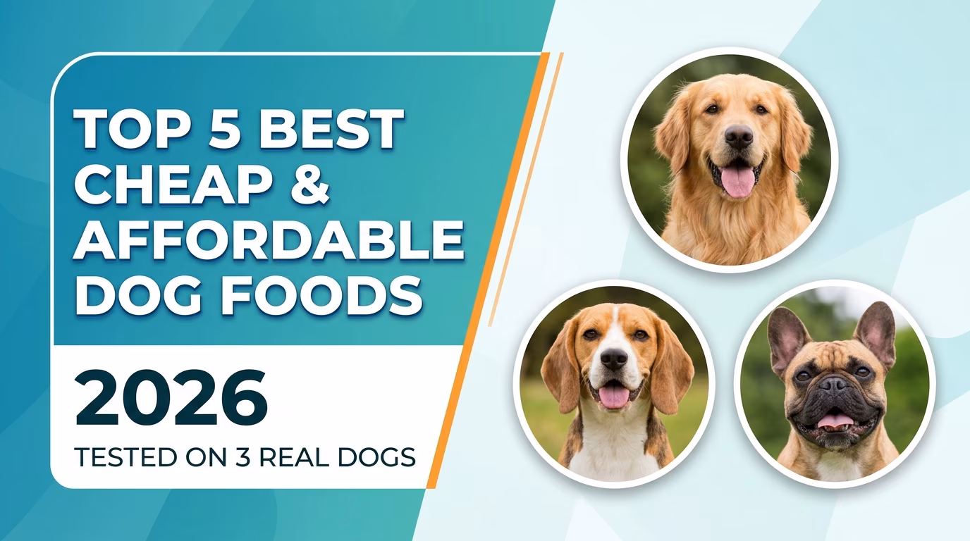 Top 5 Best Cheap & Affordable Dog Foods for All Types of Dogs (2026) — Tested on 3 Real Dogs