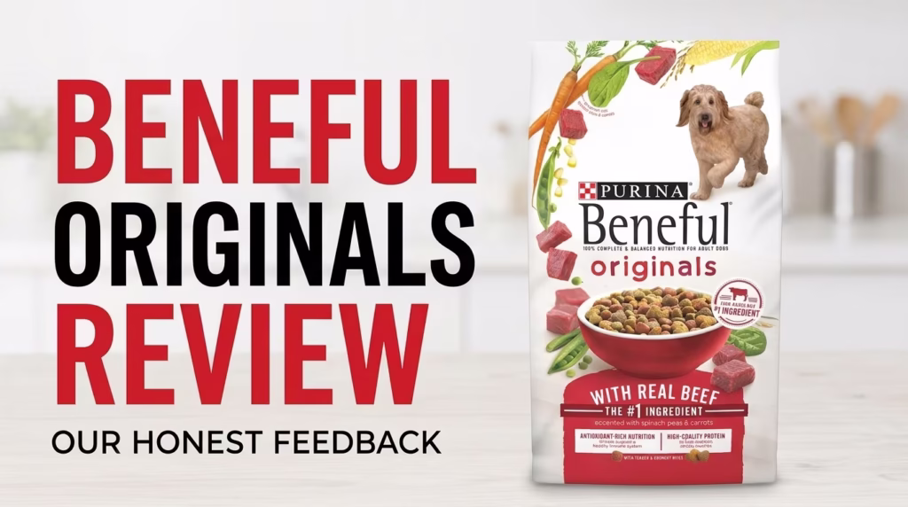 Beneful Originals with Real Beef
