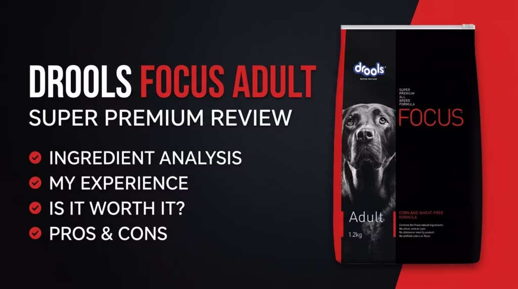 Drools Focus Adult Super Premium (Standard market leader in Asia)