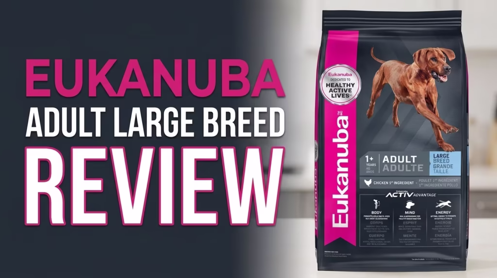 Eukanuba Adult Large Breed Dry Dog Food