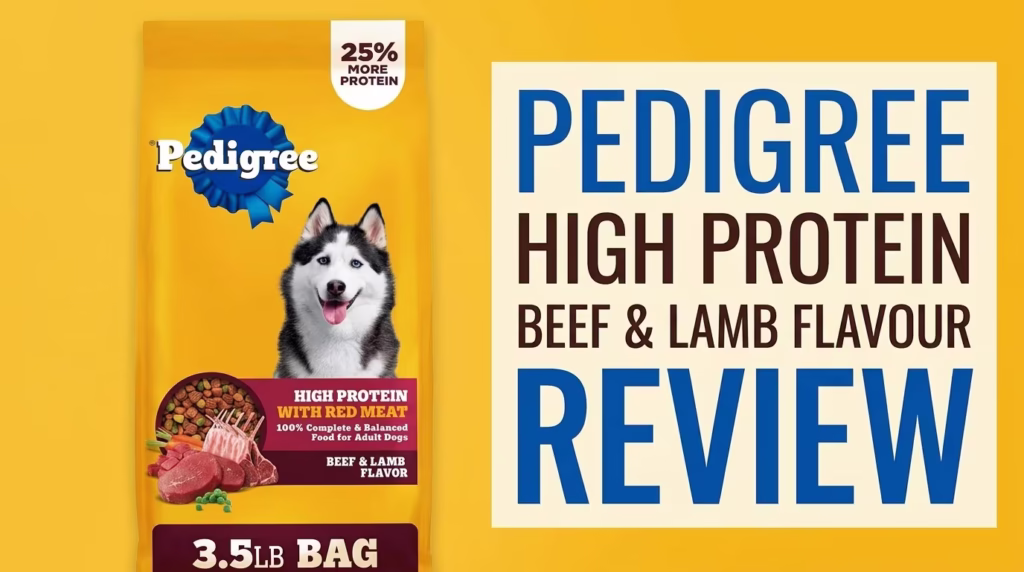 Pedigree High Protein Beef & Lamb Flavor Review