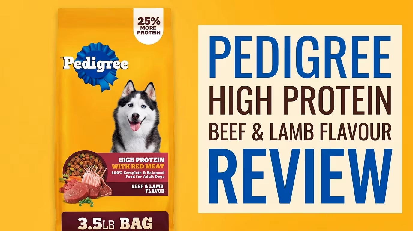 Pedigree High Protein Beef & Lamb Flavor Review