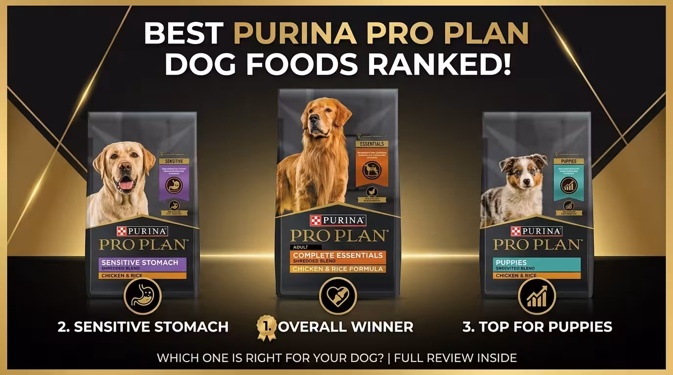 Best Purina Pro Plan Dog Foods Ranked