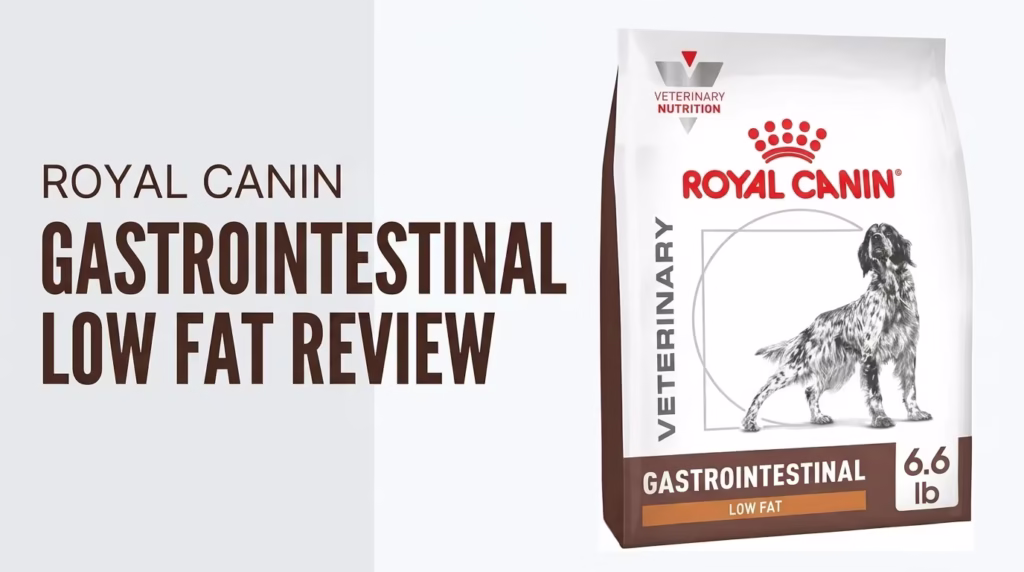Royal Canin Veterinary Diet Gastrointestinal Low Fat