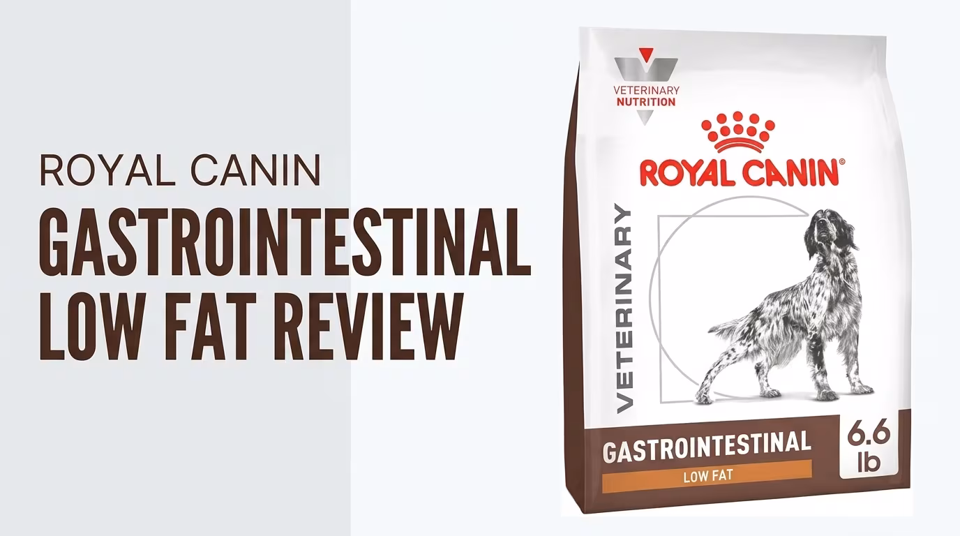 Royal Canin Veterinary Diet Gastrointestinal Low Fat