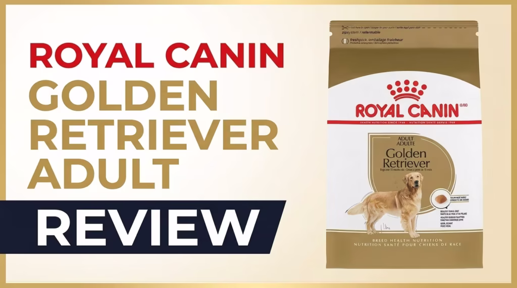 Royal Canin Golden Retriever Adult Breed Specific