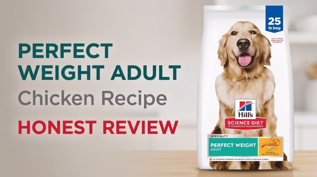 Hill's Science Diet Perfect Weight Adult Chicken Recipe