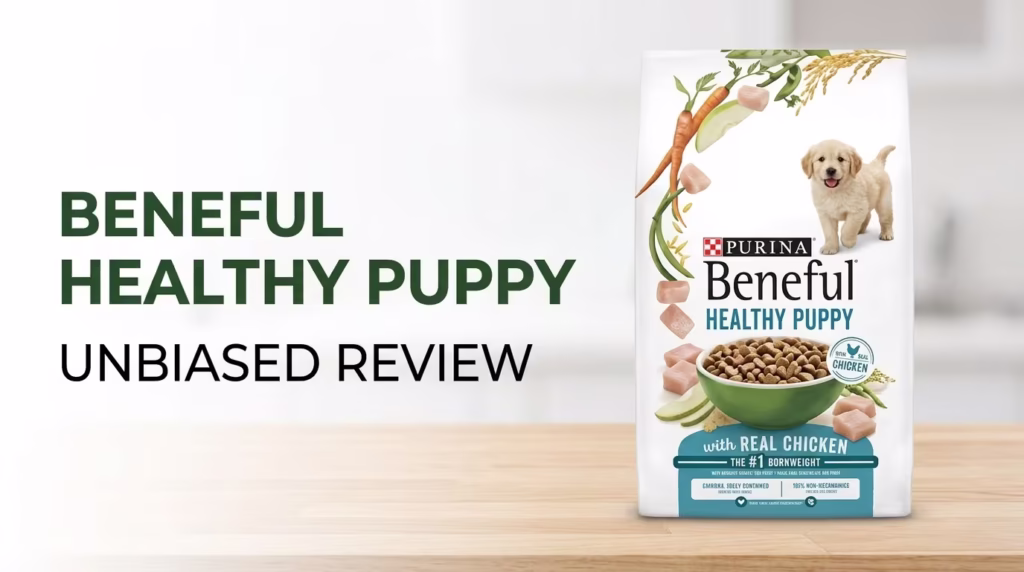 Beneful Healthy Puppy with Real Chicken Review: My Honest 1-Month Trial with Three Growing Pups