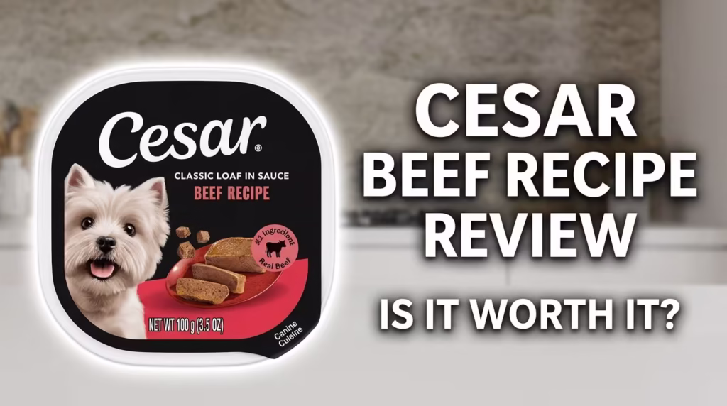 Cesar Classic Loaf in Sauce Beef Recipe Review My Honest 1-Month Test with Three Small Dogs