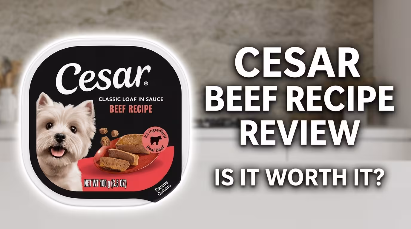 Cesar Classic Loaf in Sauce Beef Recipe Review My Honest 1-Month Test with Three Small Dogs