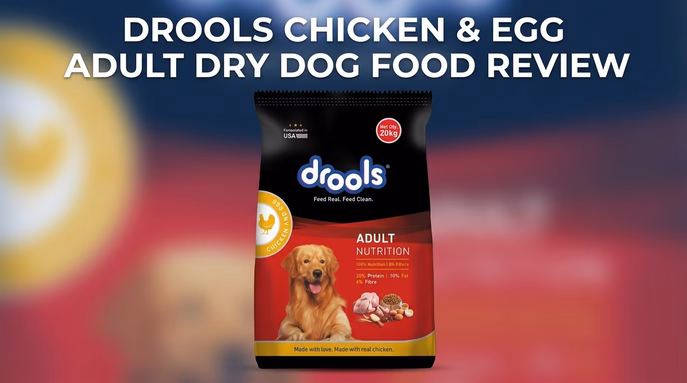 Drools Chicken and Egg Adult Dry Dog Food Review