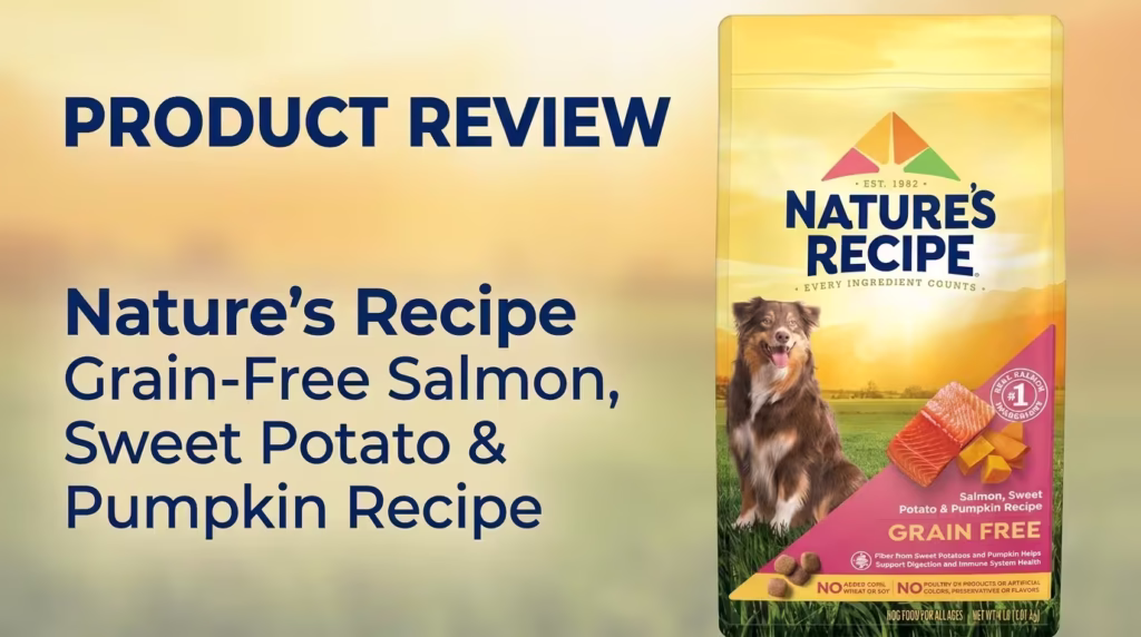 Nature's Recipe Grain-Free Salmon, Sweet Potato & Pumpkin Review