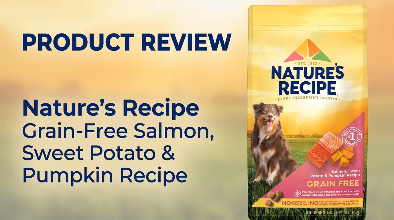 Nature's Recipe Grain-Free Salmon, Sweet Potato & Pumpkin Review